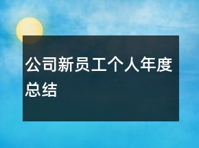 公司新員工個(gè)人年度總結(jié)