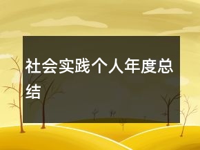 社會實(shí)踐個人年度總結(jié)