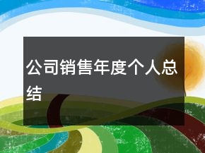 公司銷售年度個人總結
