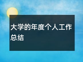 大學(xué)的年度個人工作總結(jié)