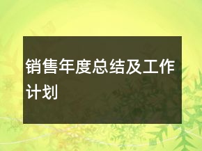 銷(xiāo)售年度總結(jié)及工作計(jì)劃