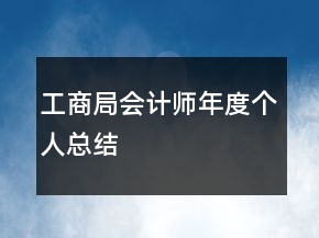 工商局會計師年度個人總結(jié)