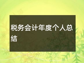 稅務會計年度個人總結(jié)