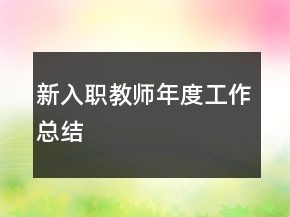新入職教師年度工作總結(jié)