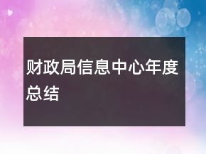 財(cái)政局信息中心年度總結(jié)
