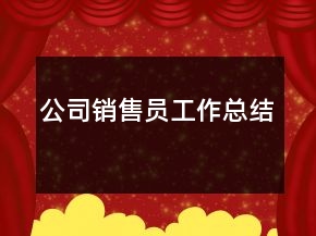 公司銷售員工作總結(jié)