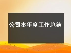 公司本年度工作總結