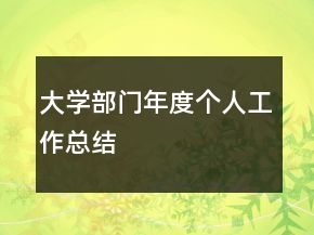大學(xué)部門年度個人工作總結(jié)