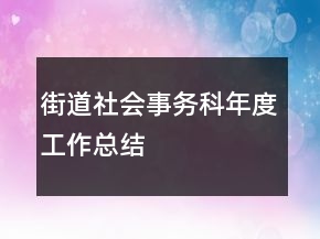 街道社會事務科年度工作總結(jié)