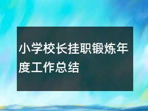 小學校長掛職鍛煉年度工作總結(jié)
