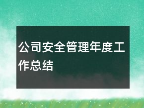 公司安全管理年度工作總結(jié)
