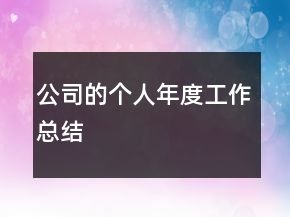 公司的個人年度工作總結(jié)