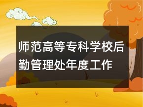 師范高等?？茖W(xué)校后勤管理處年度工作總結(jié)