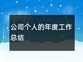 公司個(gè)人的年度工作總結(jié)
