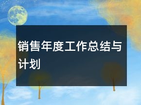 銷售年度工作總結(jié)與計(jì)劃