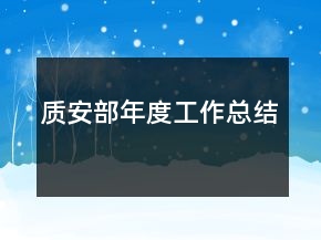 質(zhì)安部年度工作總結(jié)