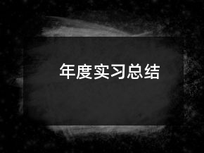 年度實習總結