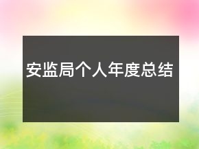 安監(jiān)局個人年度總結(jié)