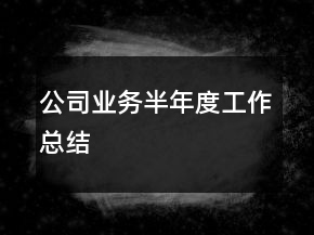 公司業(yè)務(wù)半年度工作總結(jié)