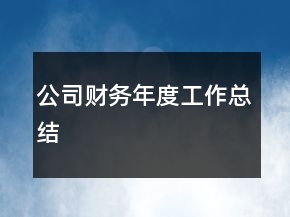 公司財務年度工作總結