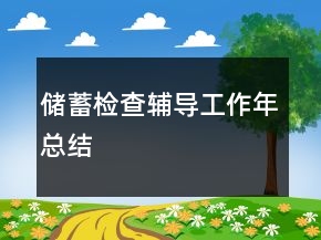 儲(chǔ)蓄檢查輔導(dǎo)工作年總結(jié)