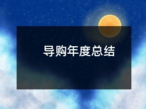 導(dǎo)購(gòu)年度總結(jié)