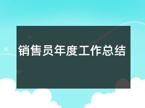 銷售員年度工作總結(jié)