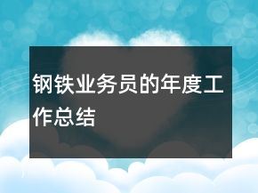鋼鐵業(yè)務(wù)員的年度工作總結(jié)
