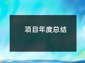 項(xiàng)目年度總結(jié)
