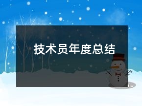 技術(shù)員年度總結(jié)