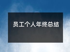 員工個人年終總結(jié)