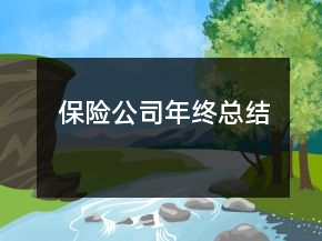 保險公司年終總結(jié)