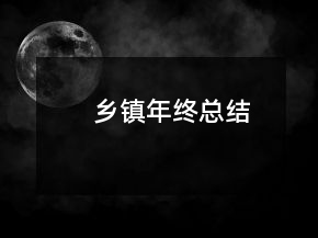 鄉(xiāng)鎮(zhèn)年終總結(jié)