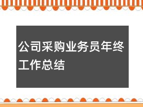 公司采購(gòu)業(yè)務(wù)員年終工作總結(jié)