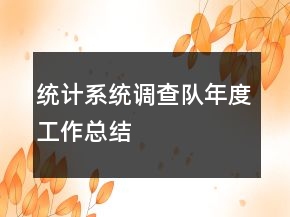 統(tǒng)計系統(tǒng)調(diào)查隊(duì)年度工作總結(jié)