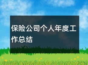 保險(xiǎn)公司個人年度工作總結(jié)