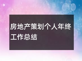 房地產(chǎn)策劃個人年終工作總結(jié)