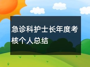 急診科護(hù)士長年度考核個人總結(jié)