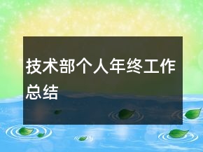 技術(shù)部個(gè)人年終工作總結(jié)