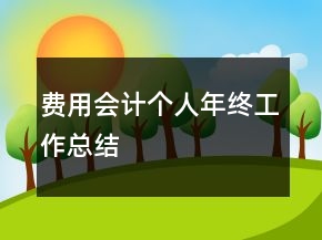 費(fèi)用會(huì)計(jì)個(gè)人年終工作總結(jié)