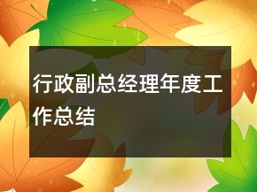 行政副總經(jīng)理年度工作總結(jié)