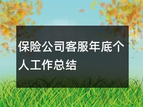 保險公司客服年底個人工作總結(jié)
