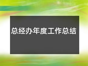 總經(jīng)辦年度工作總結(jié)