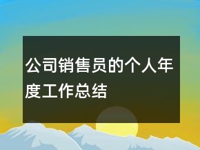 公司銷售員的個人年度工作總結(jié)