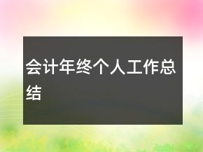 會計年終個人工作總結