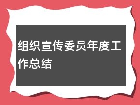 組織宣傳委員年度工作總結