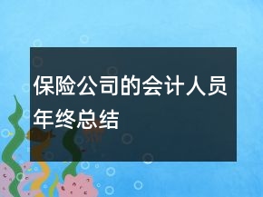 保險(xiǎn)公司的會計(jì)人員年終總結(jié)