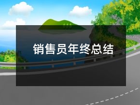銷售員年終總結(jié)