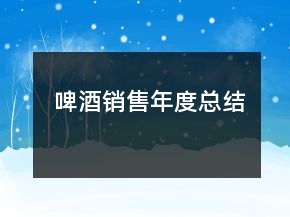 啤酒銷售年度總結(jié)