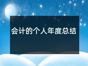 會計的個人年度總結(jié)